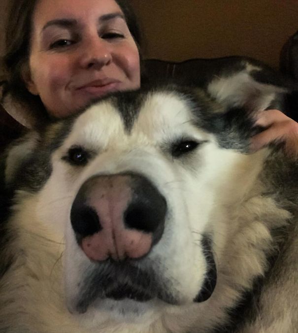 Of Course I Can Fit On Your Lap, Mom. Why Wouldn’t I Be Able To?