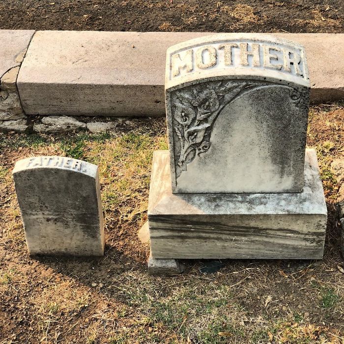 Though Circumstances Are Sad, Am I The Only One That Finds This Last Dig Rather Humorous?