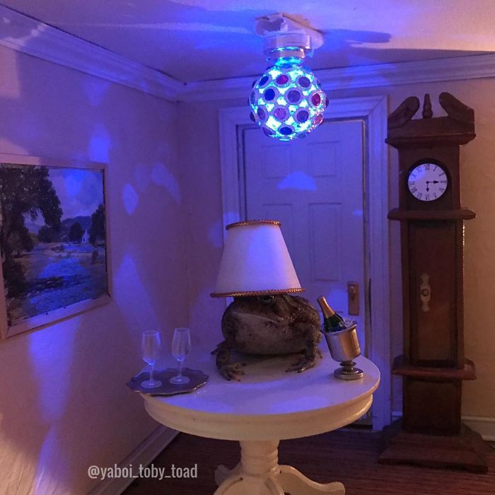 Pics From Las Nite Ahh Hah