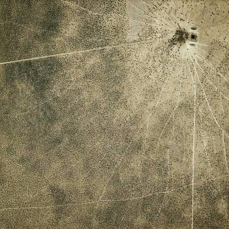 Newcastle Waters, Northern Territory