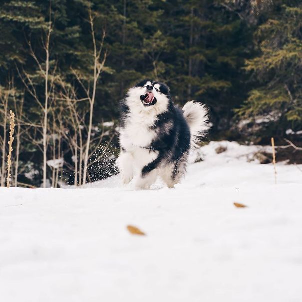 Kai Goes From 0 To 100 Real Quick