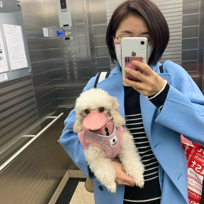 Scared Of Coronavirus, Chinese People Have Started Putting Masks On Their Pets Scared Of Coronavirus, Chinese People Have Started Putting Masks On Their Pets