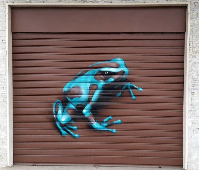 3D street art of a blue and black frog painted on a brown metal garage door, interacting with its urban surroundings.