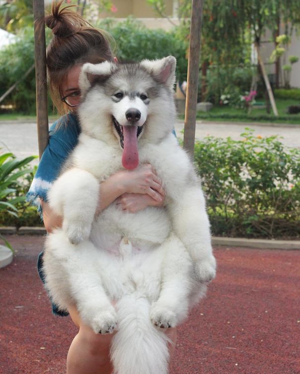 We Used To Go To The Park And Play The Swing. Too Bad I'm Too Big Now