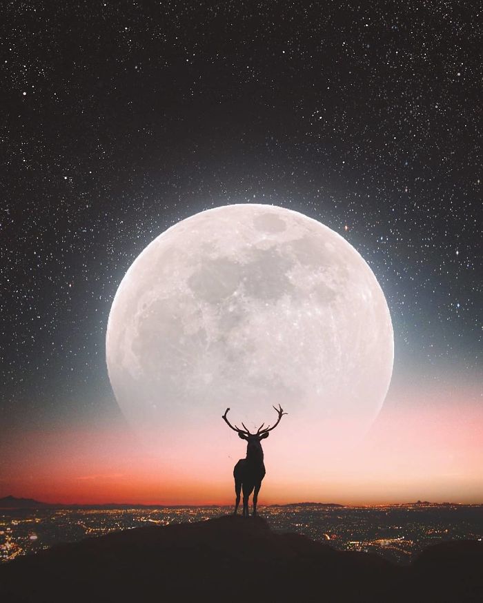 I’m A 23-Year-Old Turkish Guy Who Turns His Dreams Into Pictures