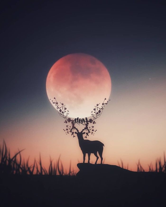 I’m A 23-Year-Old Turkish Guy Who Turns His Dreams Into Pictures