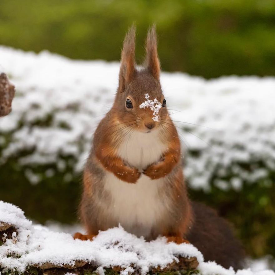 Right Between The Eyes