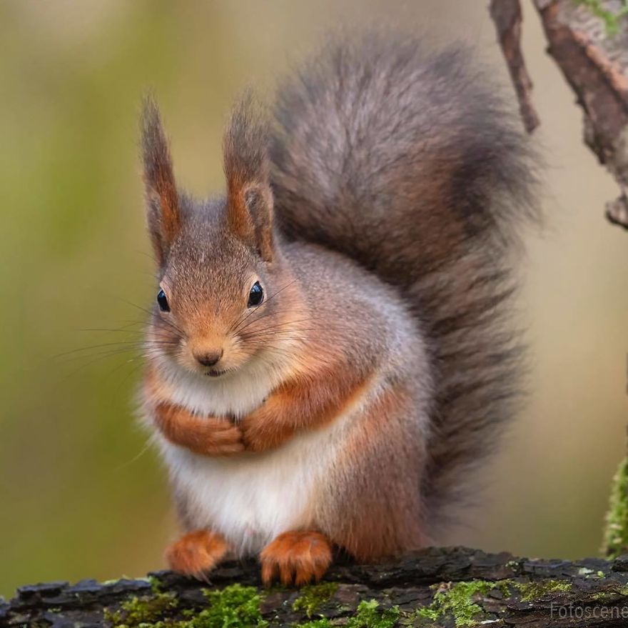 Are You All Sitting Comftybold Two Square On Your Botty? Then I'll Begin…