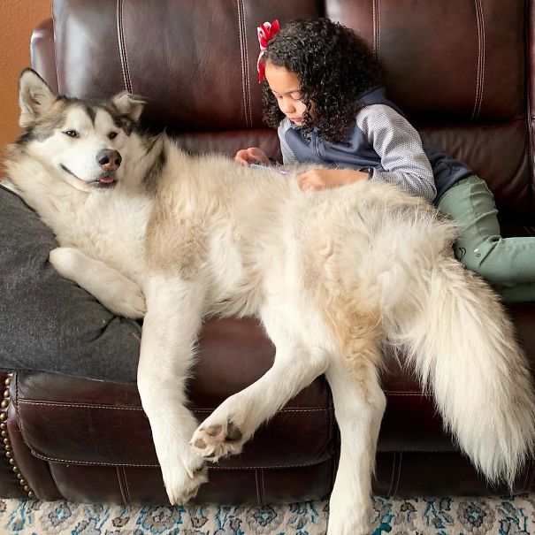 One Day We Will Find A Couch Big Enough For You, Buddy