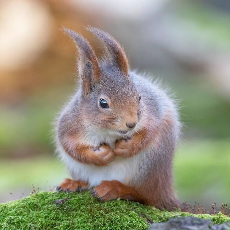 I Was Happy In The Haze Of A Drunken Hour