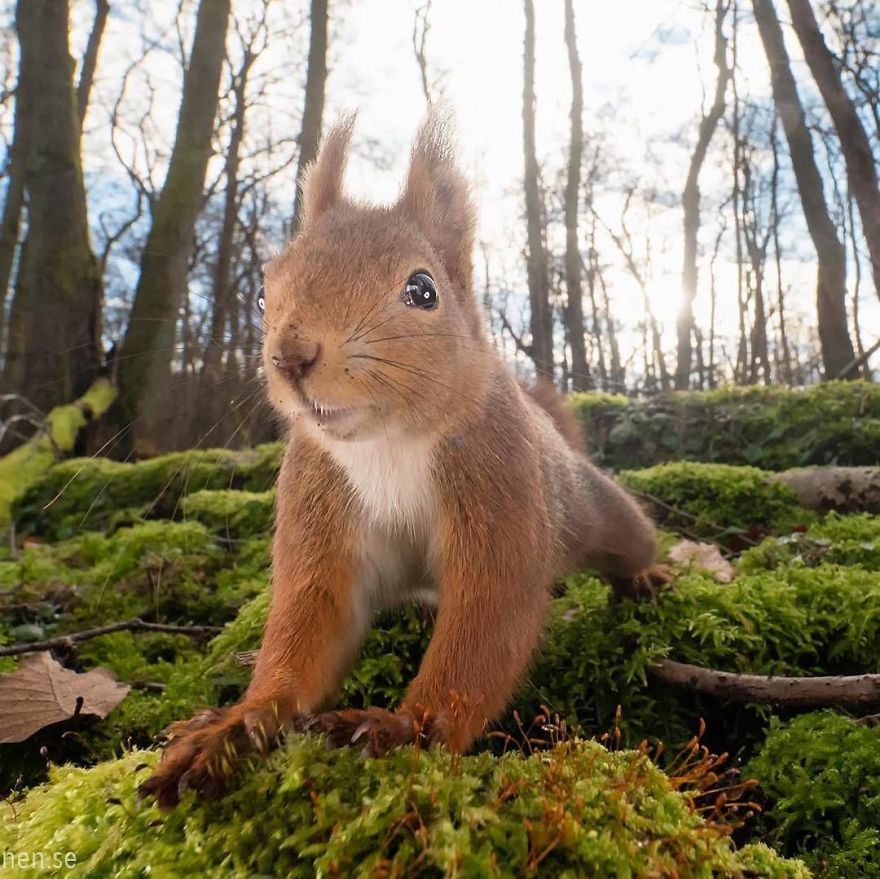 Stretch Out And Wait