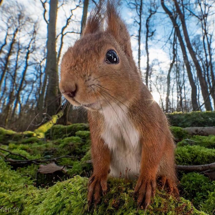 Y’all Got Anymore Of Them Hazelnuts?