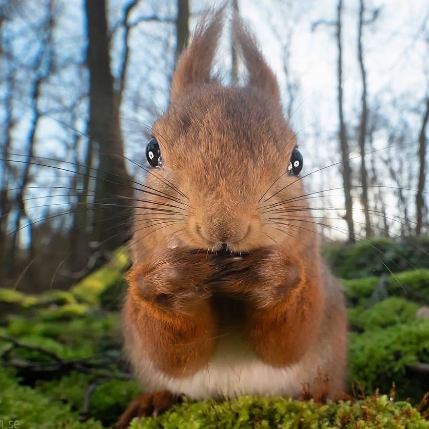 At The Edge Of His Seat