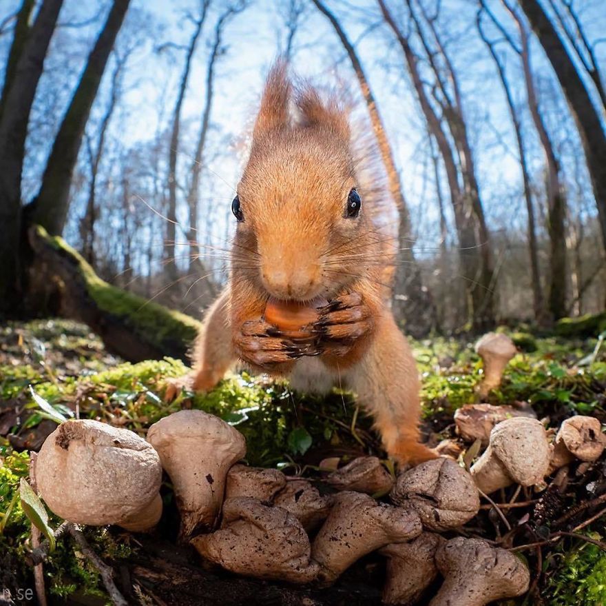 You Don’t Mess With The Zohan