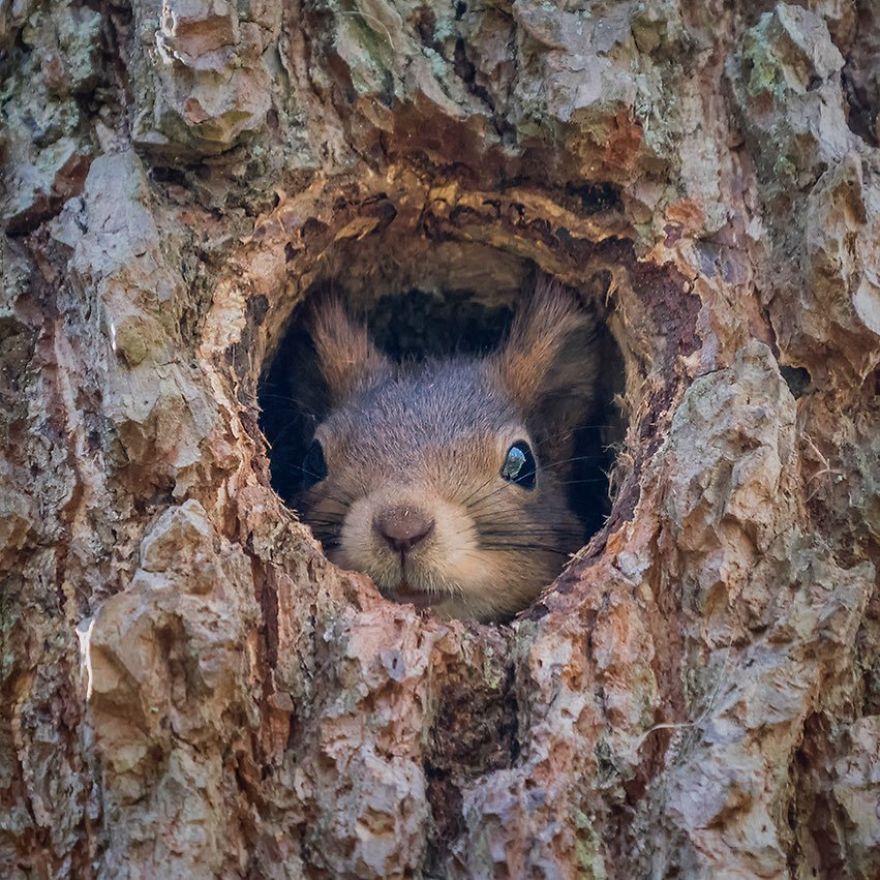 I Hear You Knocking, But You Can’t Come In