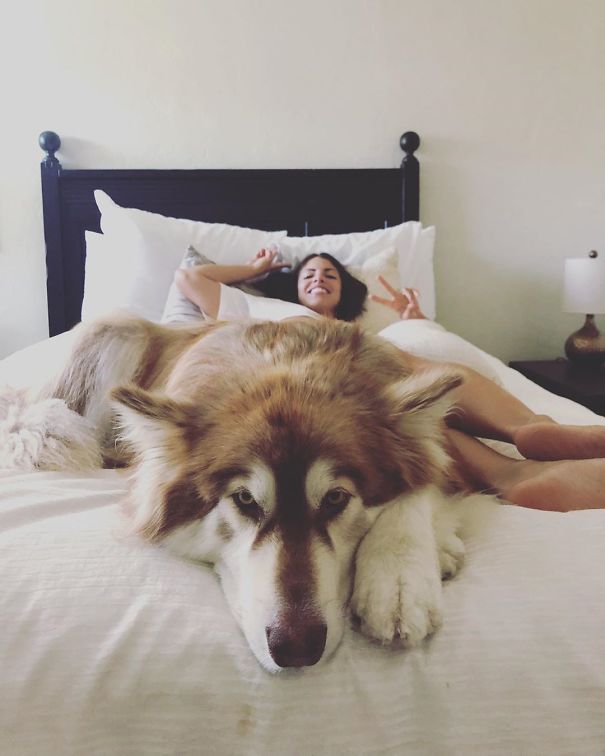 Showing Who’s Boss