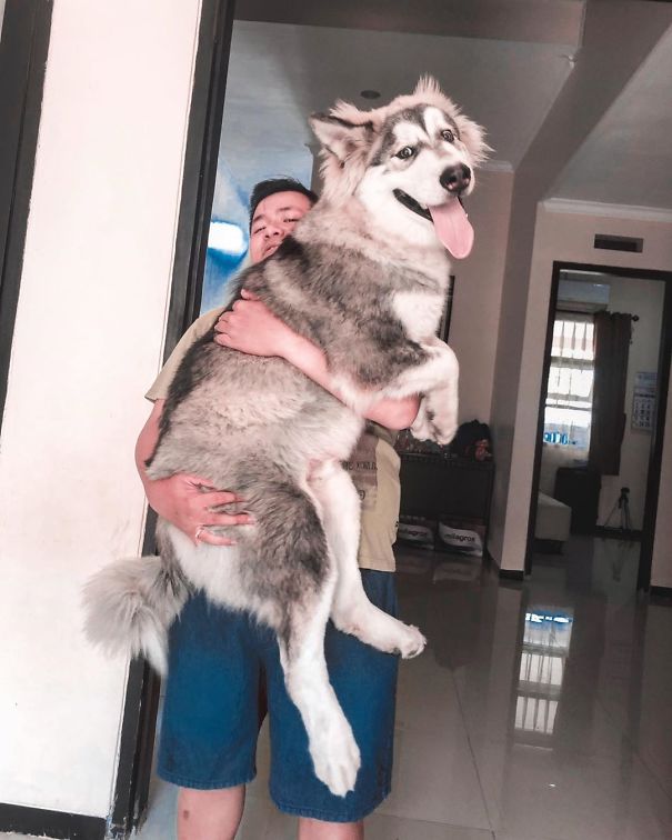 Zeus Can Be Barely Lifted