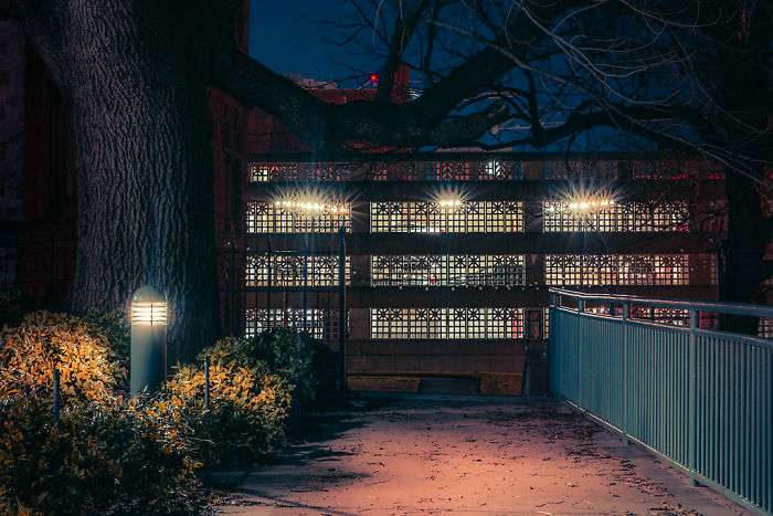 Urban walkway at night in one of the most dangerous cities in America with illuminated lamps and bare tree branches.