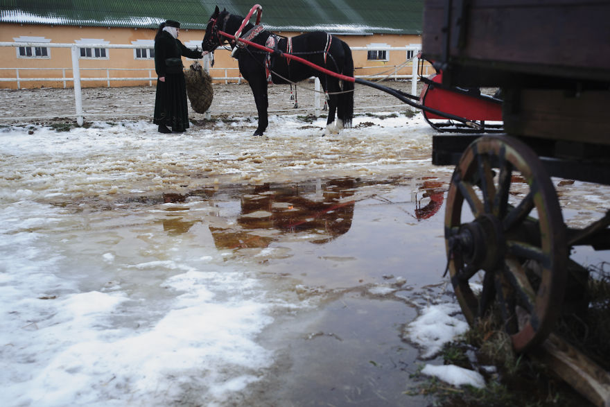 The Peculiarities Of The Historical Reenactment Of Horse-Hunts Held By Russian Aristocracy The Peculiarities Of The Historical Reenactment Of Horse-Hunts Held By Russian Aristocracy