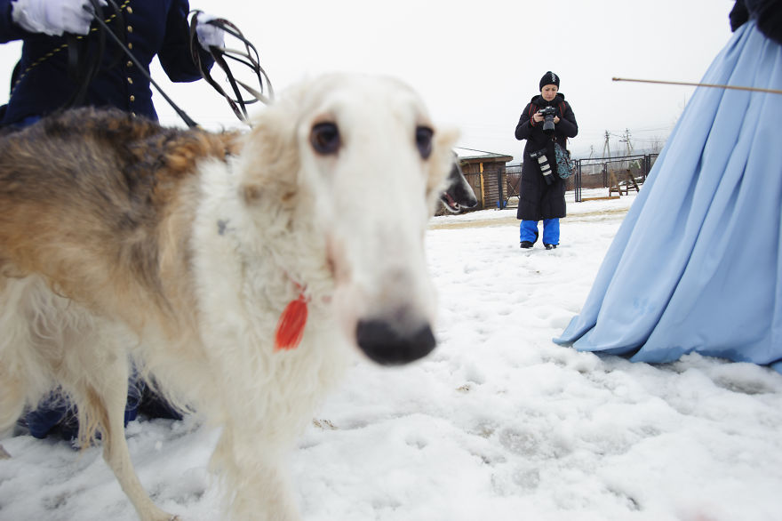 The Peculiarities Of The Historical Reenactment Of Horse-Hunts Held By Russian Aristocracy
