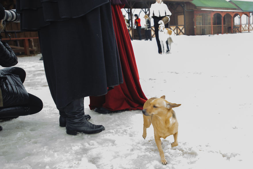 The Peculiarities Of The Historical Reenactment Of Horse-Hunts Held By Russian Aristocracy The Peculiarities Of The Historical Reenactment Of Horse-Hunts Held By Russian Aristocracy