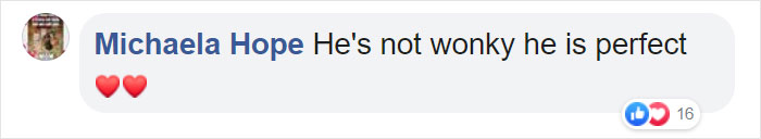 Dog Finally Gets Adopted After His Mother's Attack Left His Face Wonky