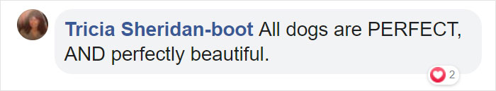 Dog Finally Gets Adopted After His Mother's Attack Left His Face Wonky