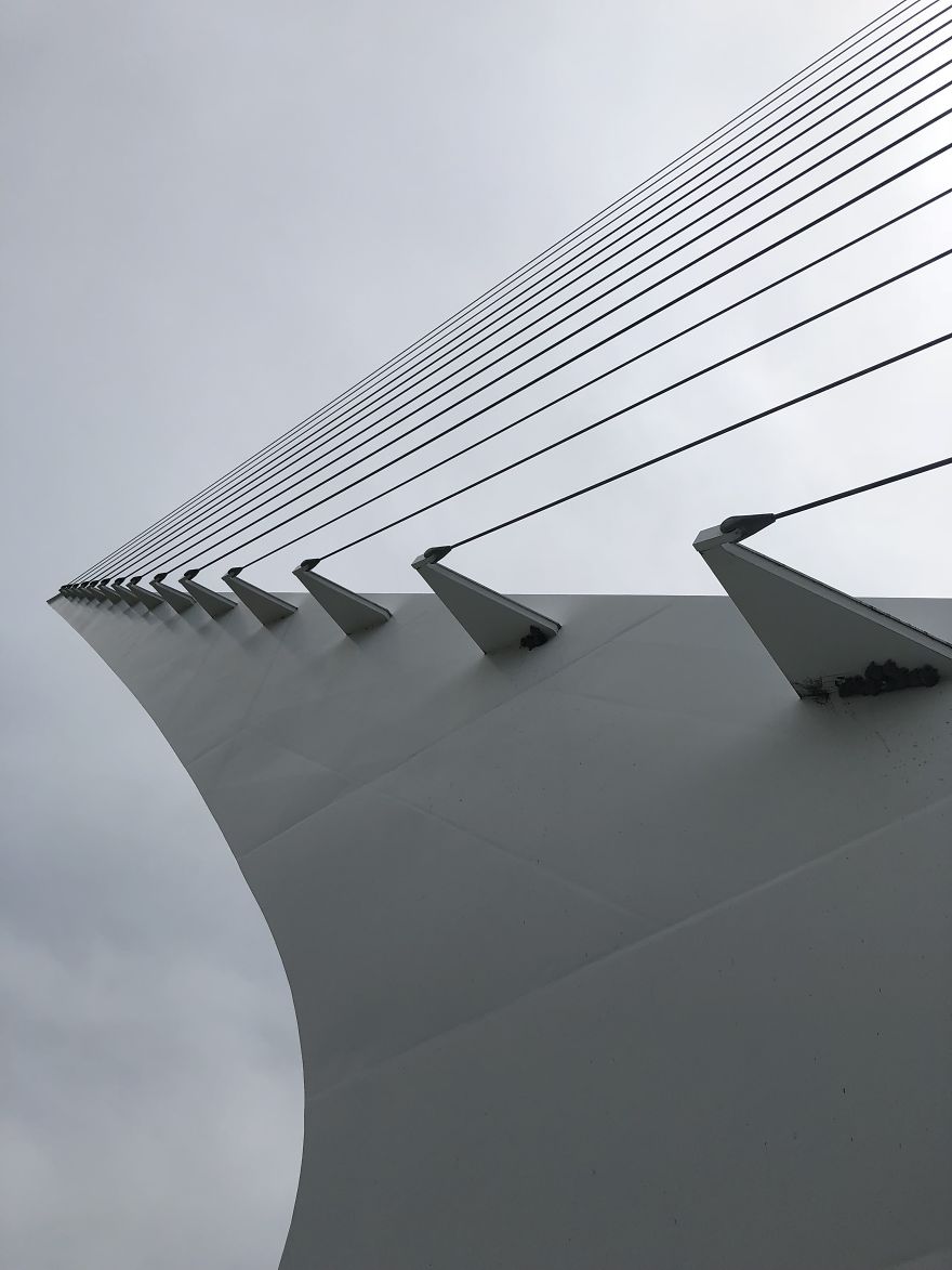 Random Cable Bridge Oregon