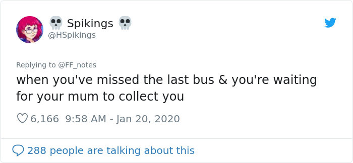 Possum Trashes Woman's Office In Australia, Becomes A Meme Possum Trashes Woman's Office In Australia, Becomes A Meme