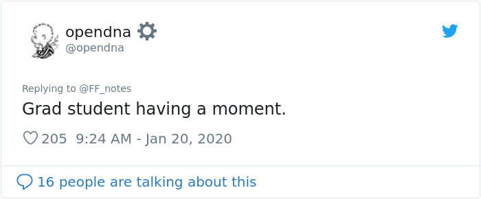 Possum Trashes Woman's Office In Australia, Becomes A Meme Possum Trashes Woman's Office In Australia, Becomes A Meme