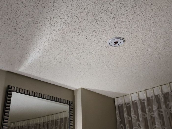 Hotel Nashville Smoke Detector