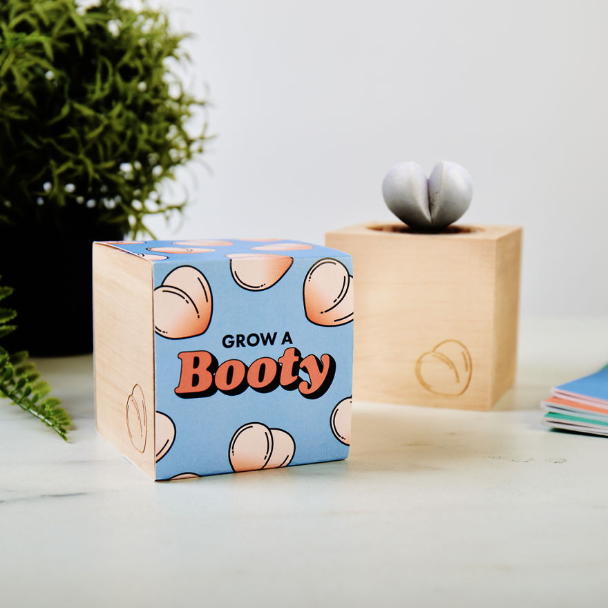 This Genius Eco-Cube Lets You Grow Your Own Tiny Succulent Shaped Like A Butt This Genius Eco-Cube Lets You Grow Your Own Tiny Succulent Shaped Like A Butt