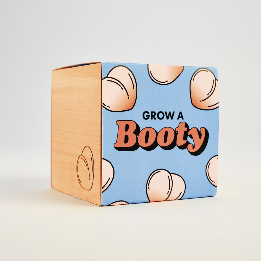 This Genius Eco-Cube Lets You Grow Your Own Tiny Succulent Shaped Like A Butt This Genius Eco-Cube Lets You Grow Your Own Tiny Succulent Shaped Like A Butt