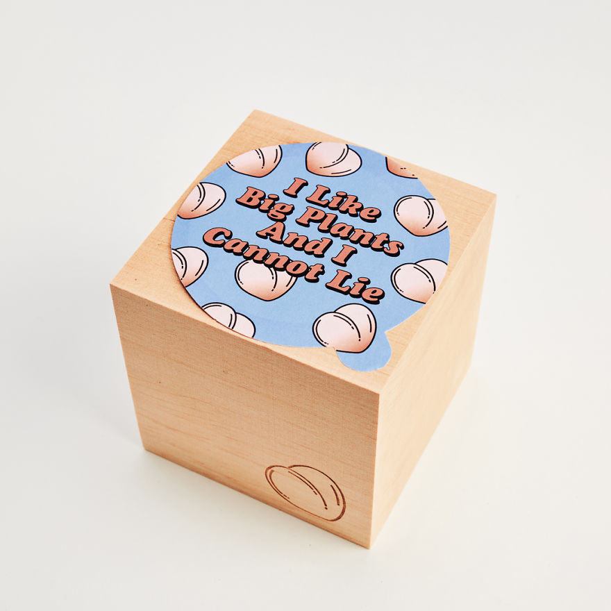 This Genius Eco-Cube Lets You Grow Your Own Tiny Succulent Shaped Like A Butt This Genius Eco-Cube Lets You Grow Your Own Tiny Succulent Shaped Like A Butt