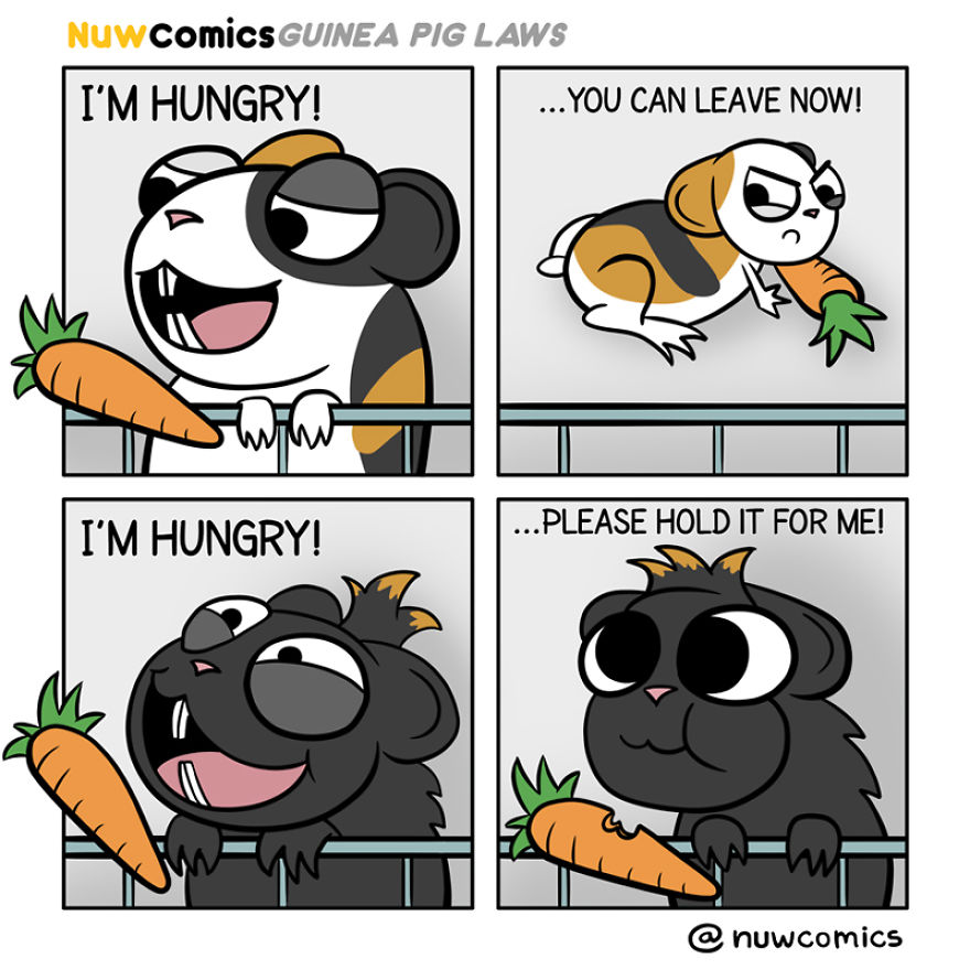 After 8 Amazing Years Of Owning My Guinea Pigs, I Created Tribute Comics For Them