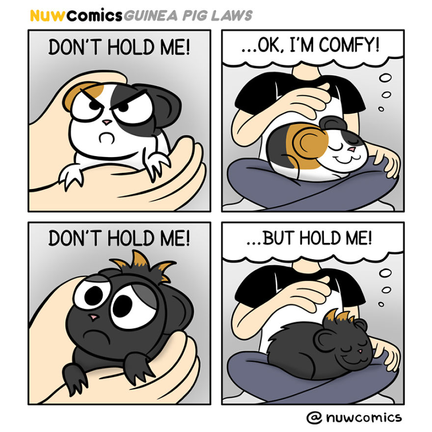 After 8 Amazing Years Of Owning My Guinea Pigs, I Created Tribute Comics For Them After 8 Amazing Years Of Owning My Guinea Pigs, I Created Tribute Comics For Them