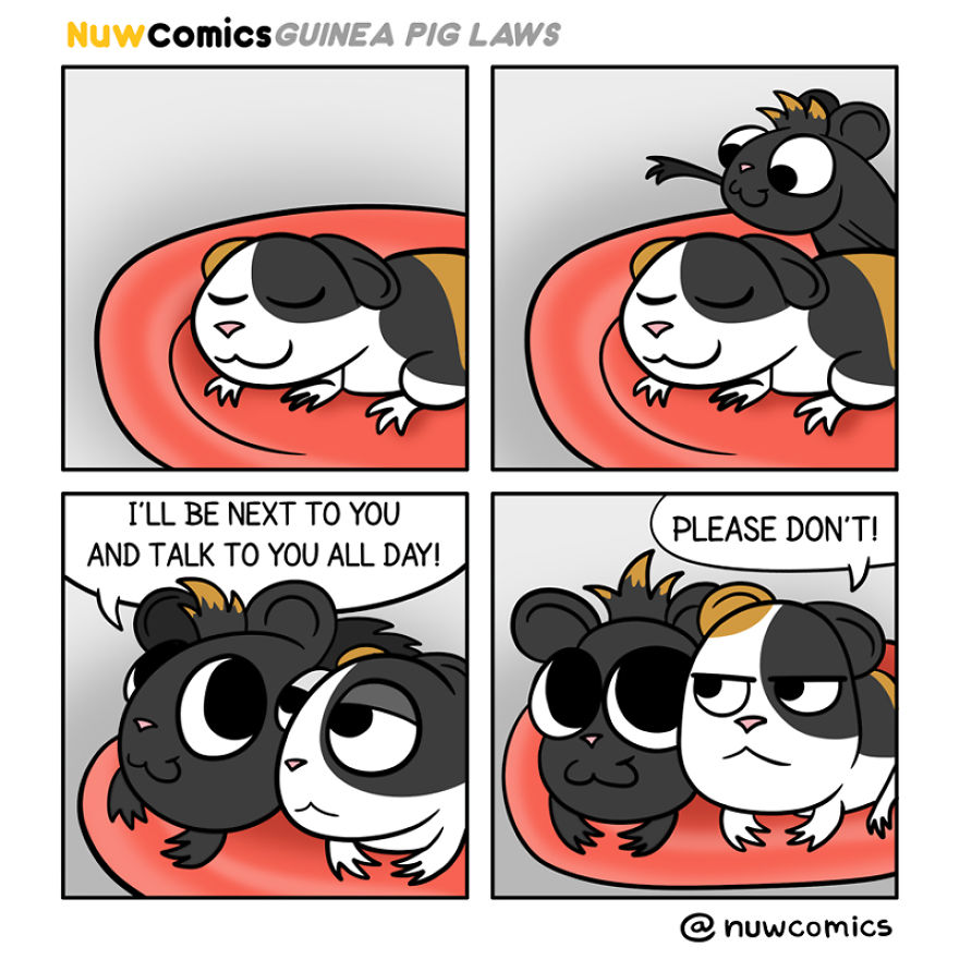 After 8 Amazing Years Of Owning My Guinea Pigs, I Created Tribute Comics For Them