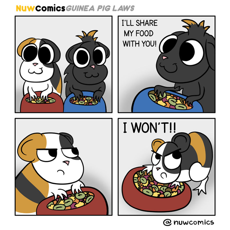 After 8 Amazing Years Of Owning My Guinea Pigs, I Created Tribute Comics For Them