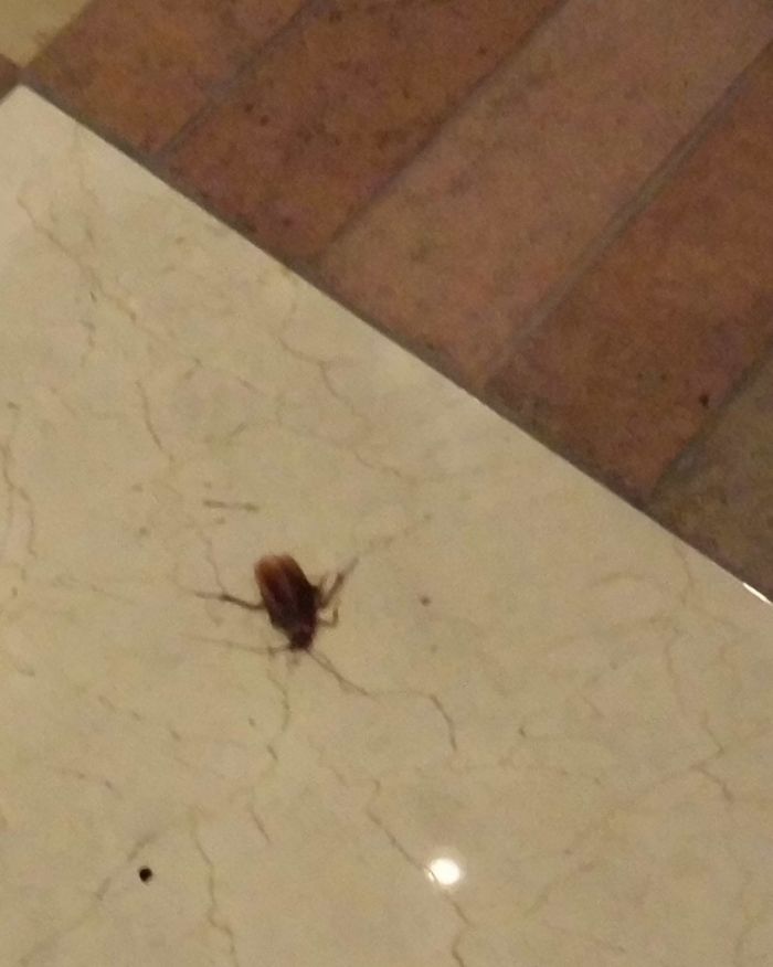 Another one from Jennifer