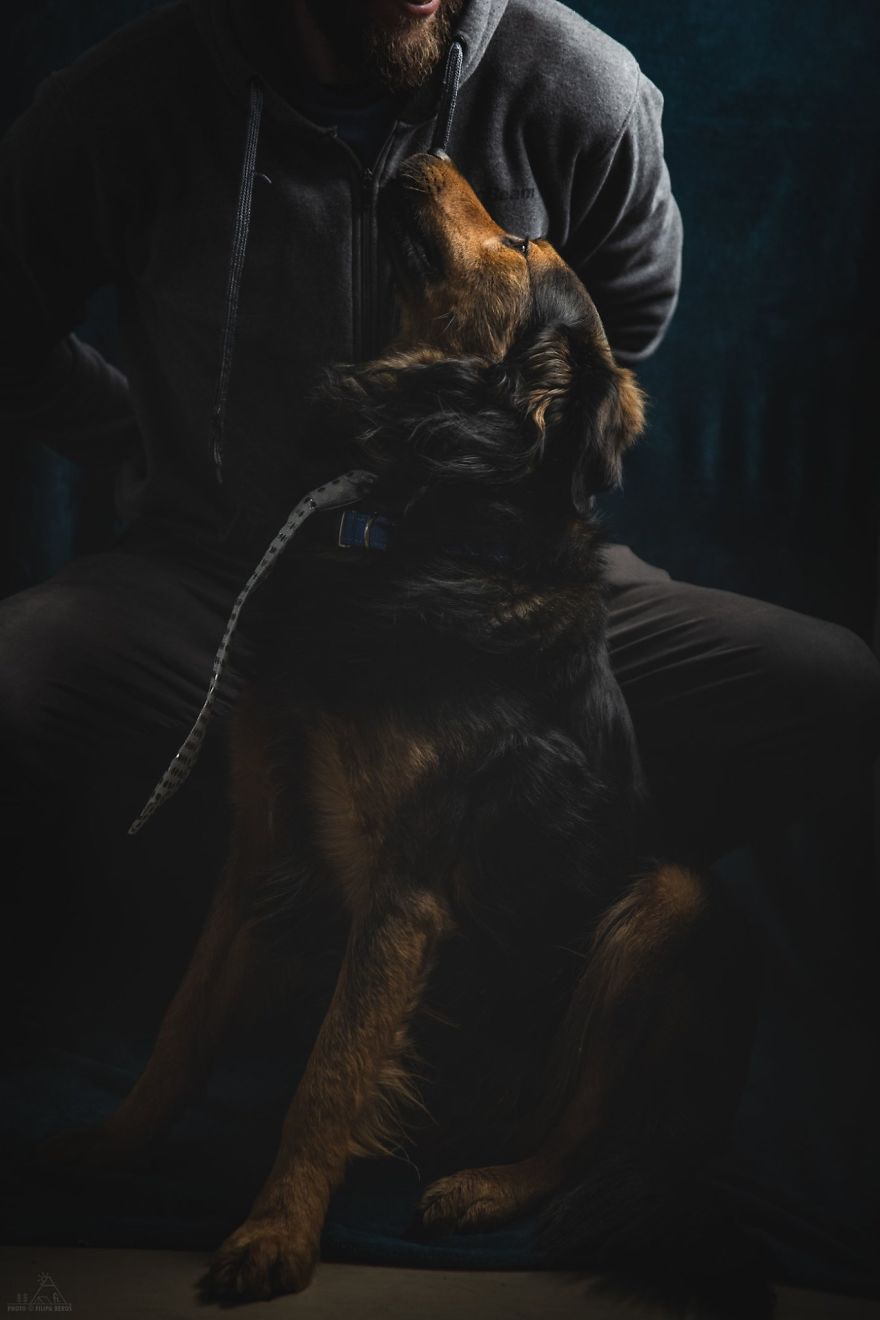 I Did A Photoshoot Of Shelter Dogs, And They All Got Adopted I Did A Photoshoot Of Shelter Dogs, And They All Got Adopted