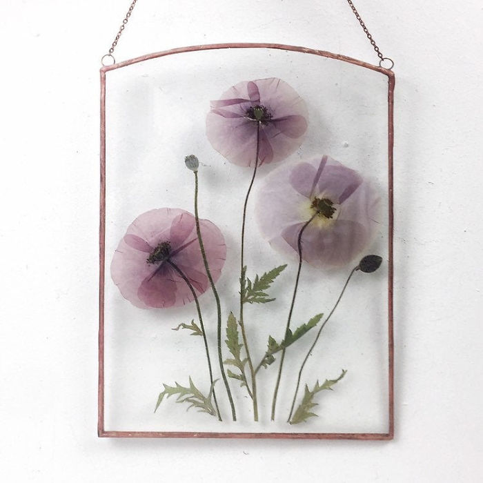 About Two Years Ago, I Picked Up A New Hobby Of Making Flower Herbariums And Here Are My Recent Works