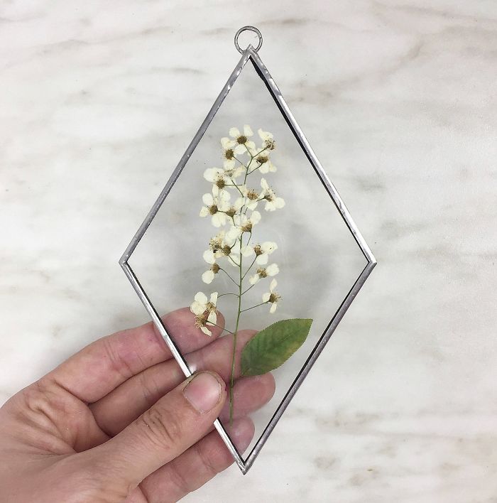 About Two Years Ago, I Picked Up A New Hobby Of Making Flower Herbariums And Here Are My Recent Works