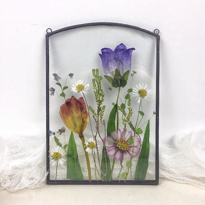 About Two Years Ago, I Picked Up A New Hobby Of Making Flower Herbariums And Here Are My Recent Works