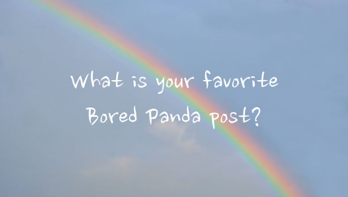 What Is Your Favorite Bored Panda Post?