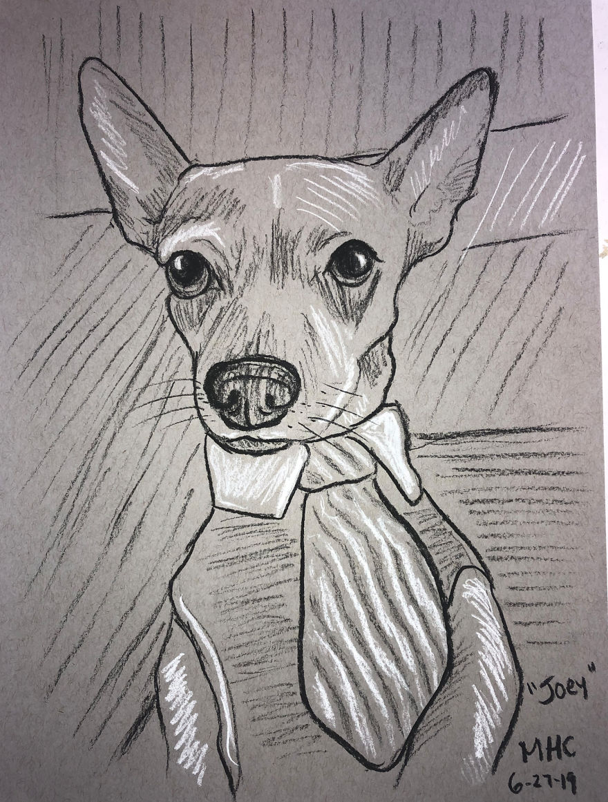 I Draw Pet Portraits In 10 Minutes