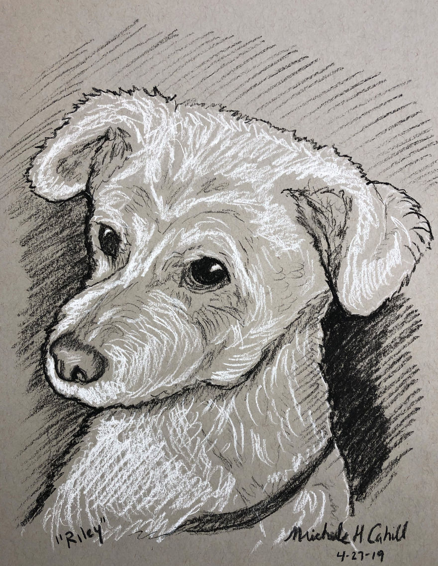 I Draw Pet Portraits In 10 Minutes
