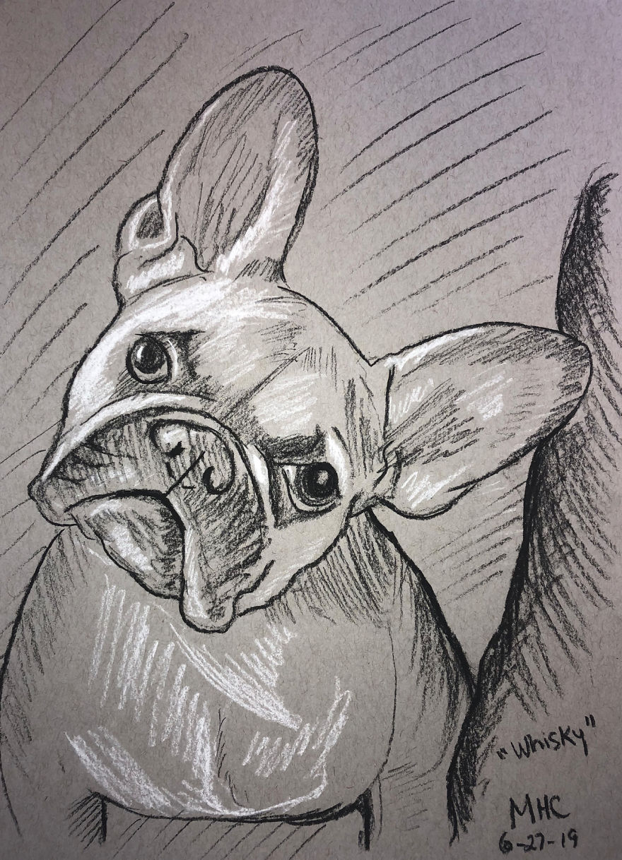 I Draw Pet Portraits In 10 Minutes