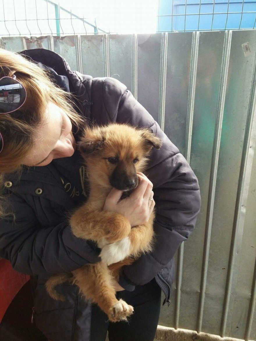 I Designed A 'Fortress' For My Dog Adopted From A Kill Shelter That Helps Dealing With Her Anxiety