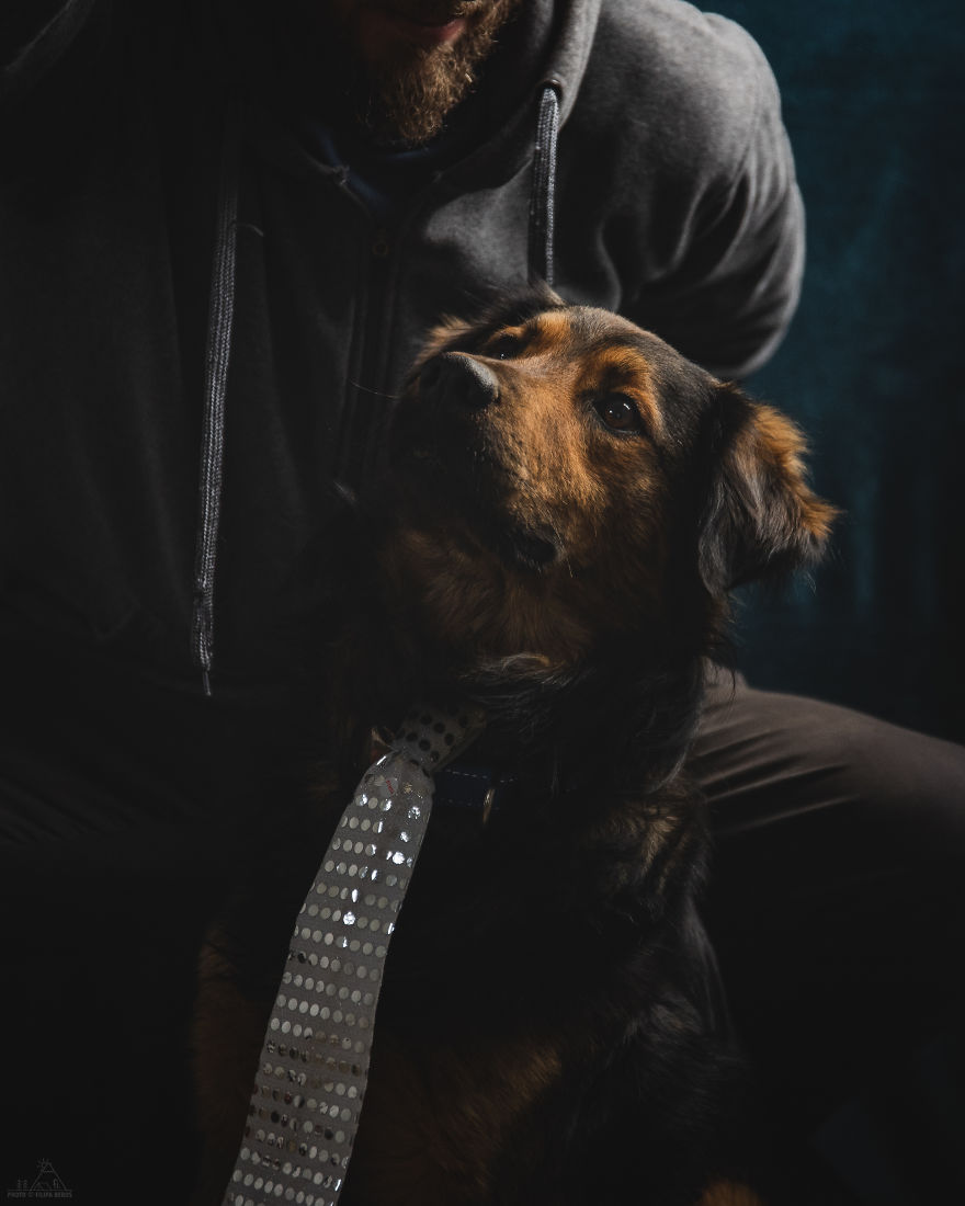 I Did A Photoshoot Of Shelter Dogs, And They All Got Adopted I Did A Photoshoot Of Shelter Dogs, And They All Got Adopted