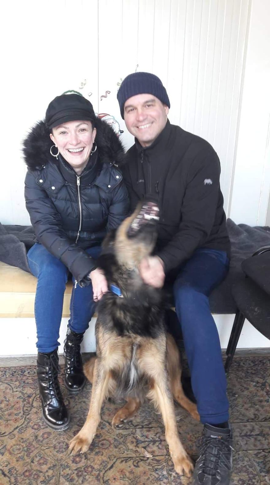 I Did A Photoshoot Of Shelter Dogs, And They All Got Adopted I Did A Photoshoot Of Shelter Dogs, And They All Got Adopted